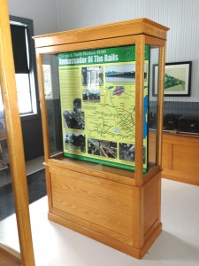 Display case